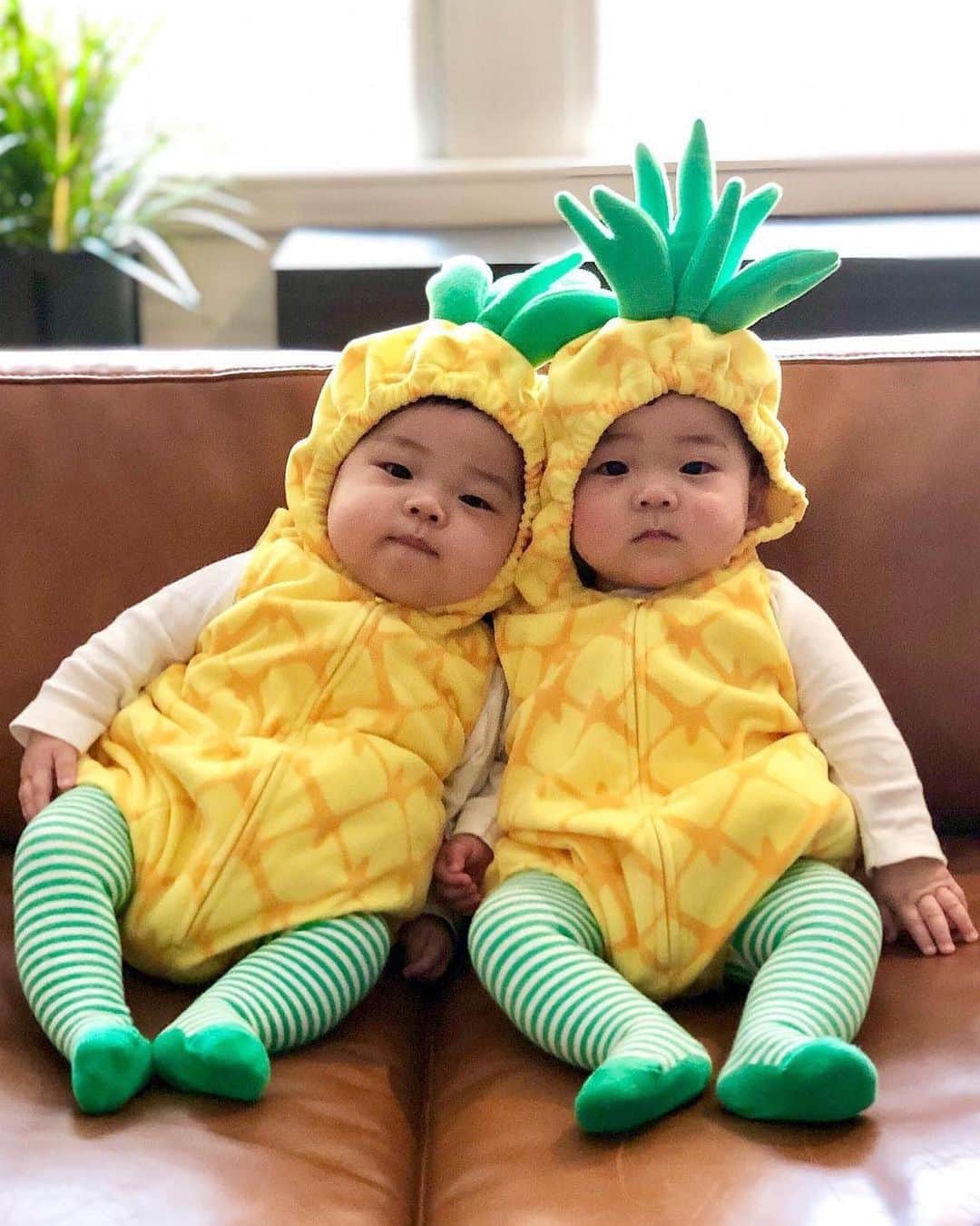 のインスタグラム：「TWO-ti frutti! 🍍🍍😍 Who is ready for Halloween?! 🎃👻🍭 #costumetime #shopnow #lovecarters 📷: @twomanychans」