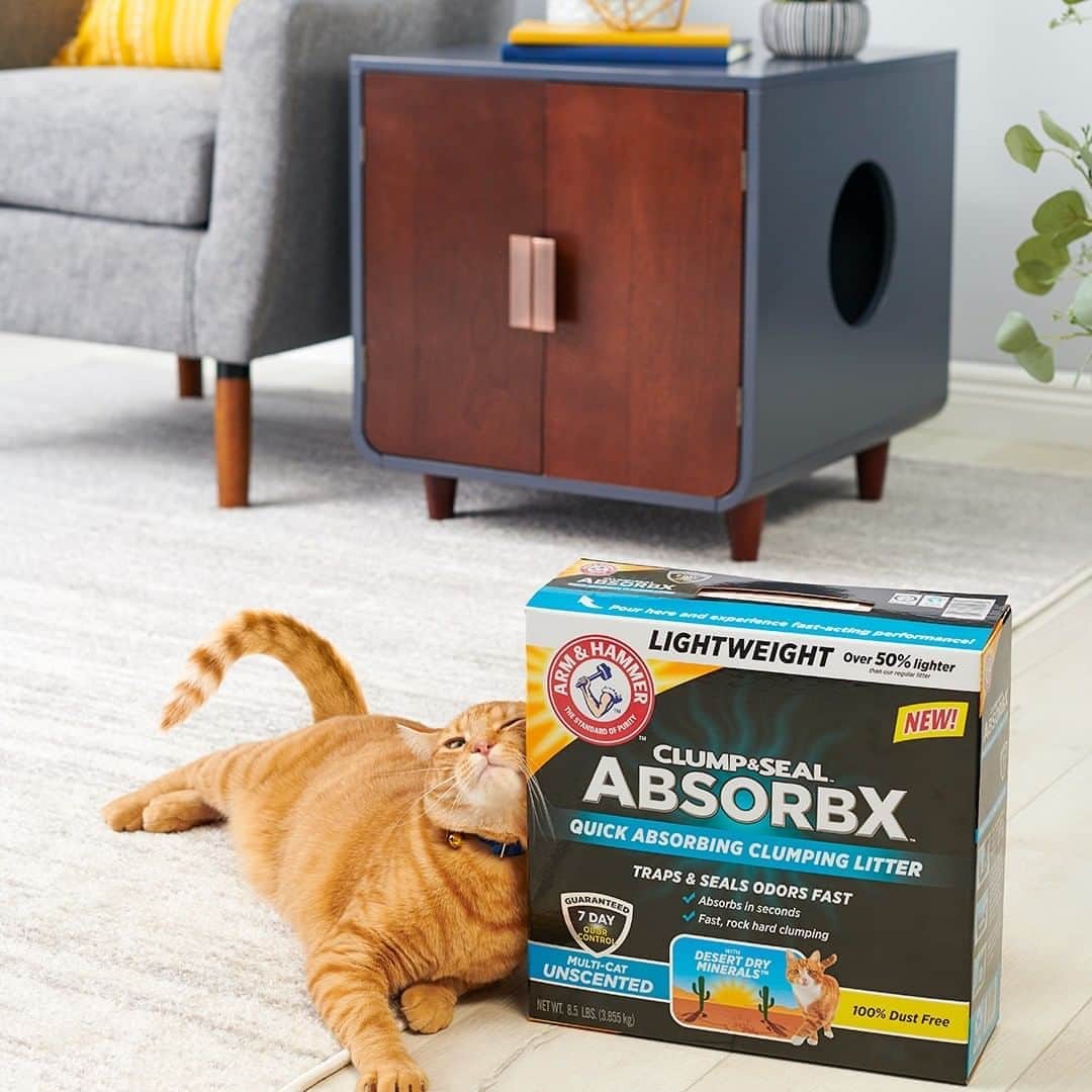 Wal-Mart Stores, Incのインスタグラム：「Your sophisticated feline companion demands not only a fine mid-century litter box, but also the finest current-century Arm & Hammer AbsorbX litter. And we are at their service. 😻」