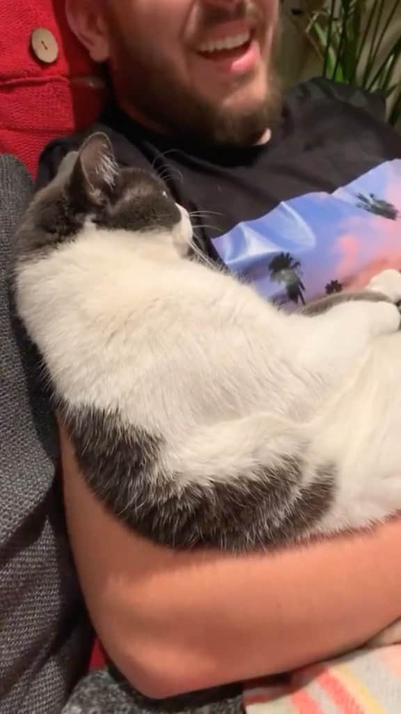 のインスタグラム：「She knows what’s guuuuuud 😍 📹 @jovss -⠀ #Meowed #sleep #cute」