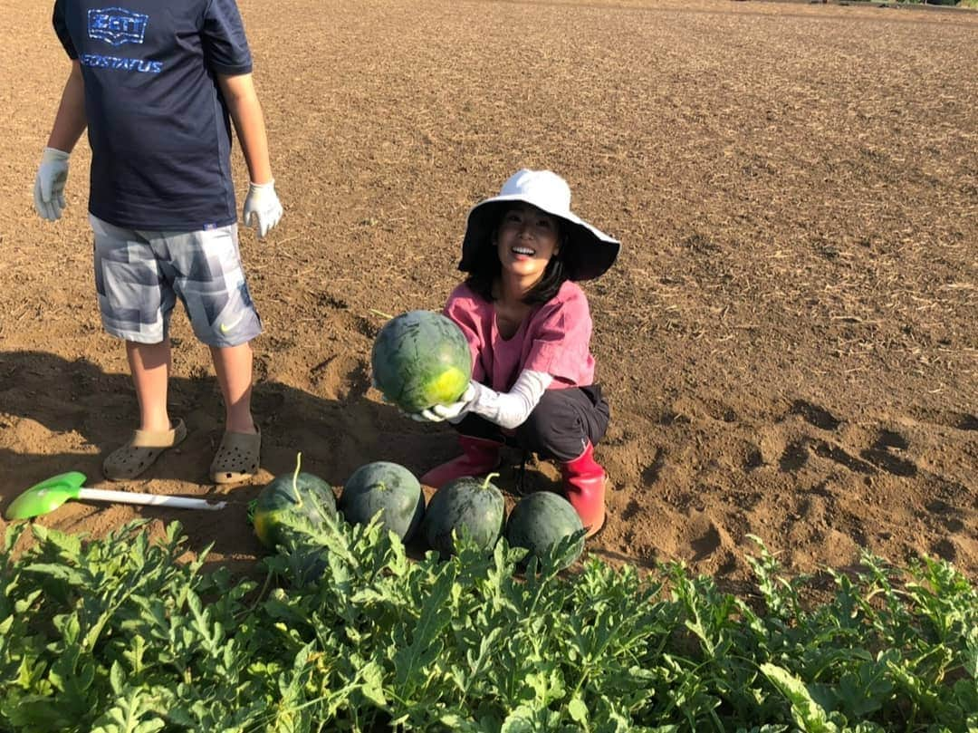 本仮屋リイナさんのインスタグラム写真 - (本仮屋リイナInstagram)「採りたてスイカがぶっ！🍉 母が畑で育てたスイカを収穫しました😊 食べても食べてもまだまだ畑にあるぜ！と躊躇せず、思いっきり食べまくりました😋❤️ ちょっと採るのが早く、切ったら白いものも😜  #スイカ食べまくリイナ #スイカ #🍉 #夏」8月25日 11時59分 - riina_motokariya