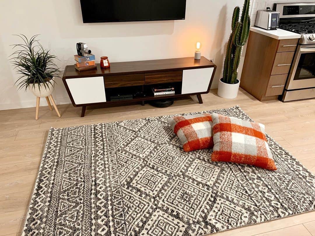 ブリー・キッシュのインスタグラム：「we may not have a couch.. or most home items.. BUT WE DO HAVE A RUG AND WE’RE SO HAPPY ABOUT IT! 🍾✨ this one is from @loloirugs ”EMORY” collection and it’s super soft + the perfect size for our space! #ad」