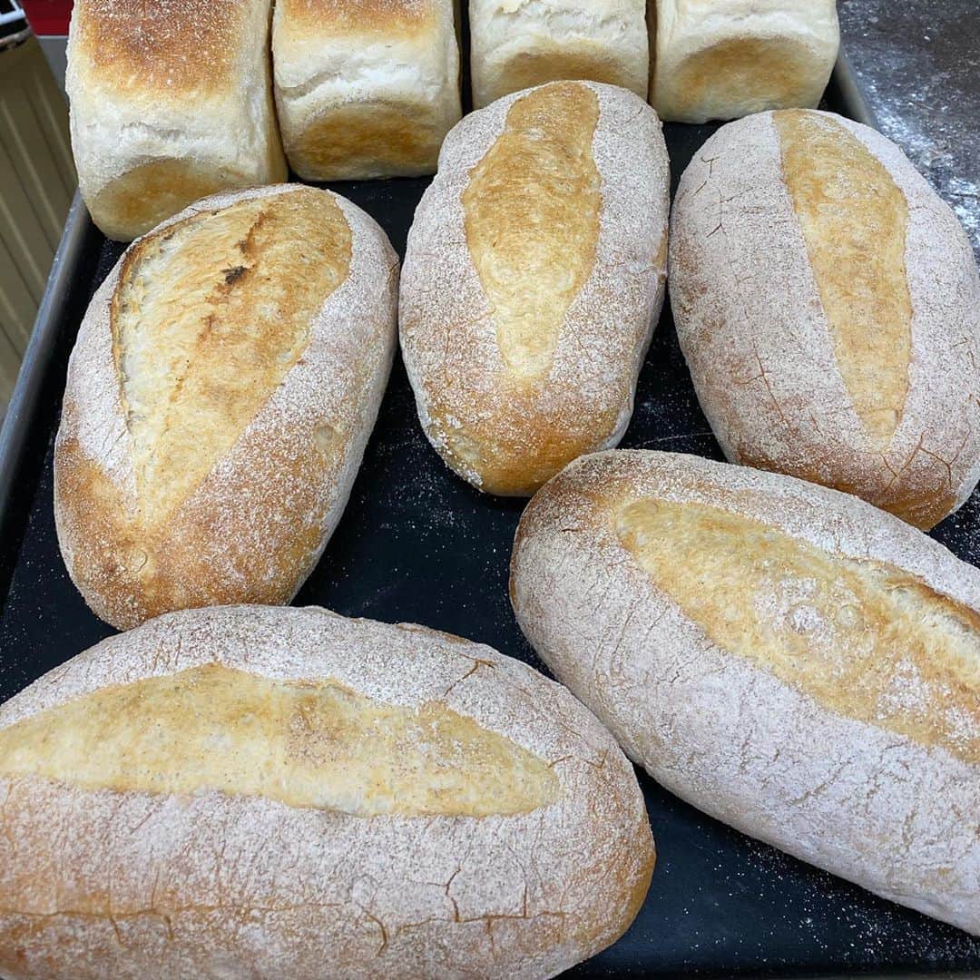 魔女菅原のグルメインスタ