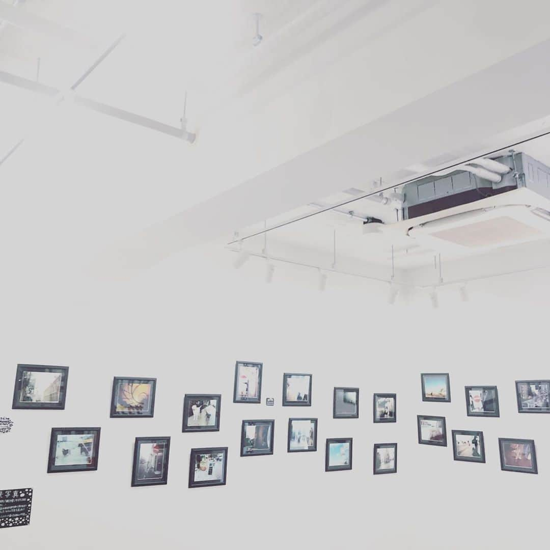 橋本塁さんのインスタグラム写真 - (橋本塁Instagram)「【サウシュー東京写真展6日目スタート！】19時までオープン！ギャラリールデコ(渋谷区渋谷3-16-3ルデコビル6&5階)にてコロナ感染防止対策して写真展スタート！僕は今日と土曜日の昼過ぎ以降のみ不在ですがお待ちしてます！ 学校や仕事終わりとか買い物がてら気を付けつつ是非。 #stingray  #サウシュー　#渋谷　#写真展」8月25日 11時09分 - ruihashimoto