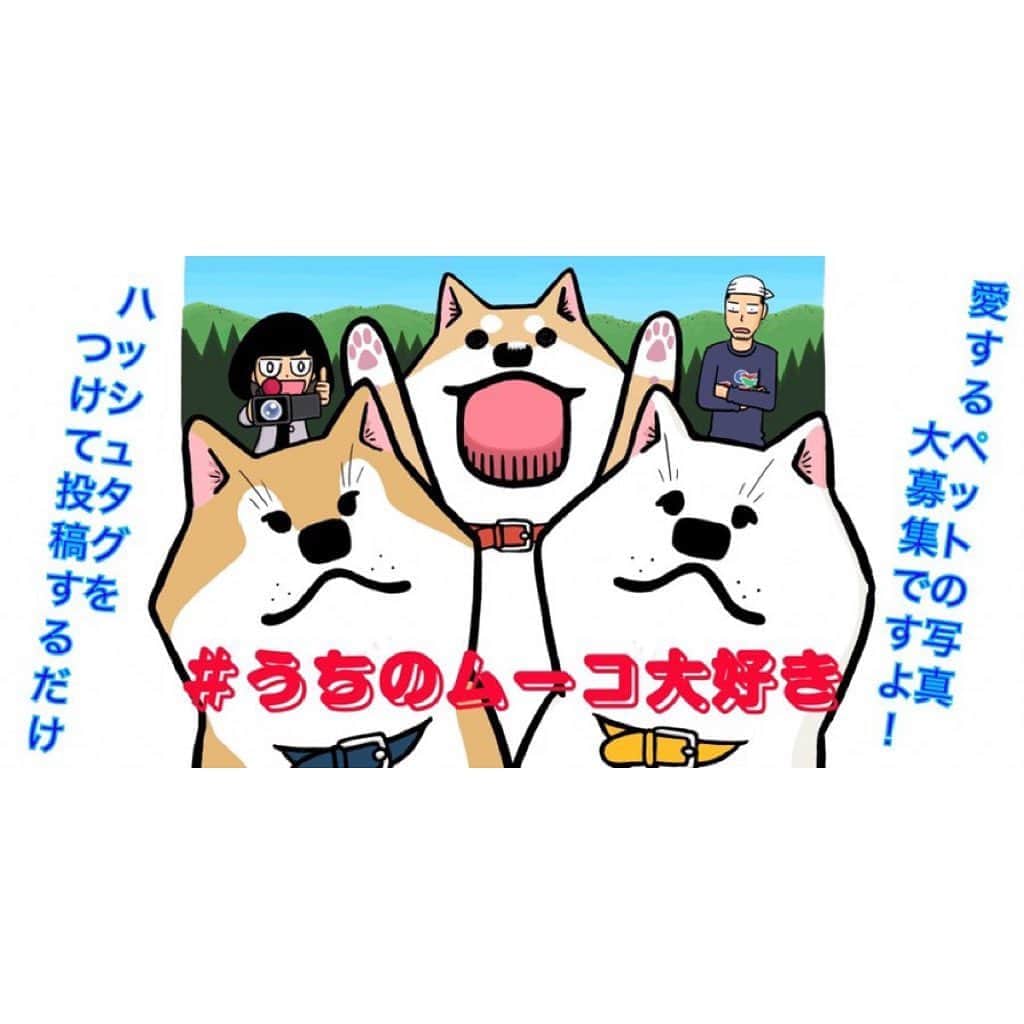 みずしな孝之のインスタグラム：「いとしのムーコ完結記念特別企画で、 みなさまの愛するペットの写真を募ることになりました。  ①ペットの写真は犬に限らず動物ならなんでもOK！ ②ハッシュタグ「#うちのムーコ大好き」をつけ、ペットのお名前も記載してください。 ③選ばれた写真は雑誌掲載の可能性がございます。承諾いただける方のみ投稿ください。 ④掲載はイブニング20号（9／23発売）を予定。 ⑤8／29（土）23:59投稿分まで  ツイッターで先行して始まった企画ですが インスタグラムでもよろしくお願いします！  #うちのムーコ大好き #ながまさです #鼻が長い」