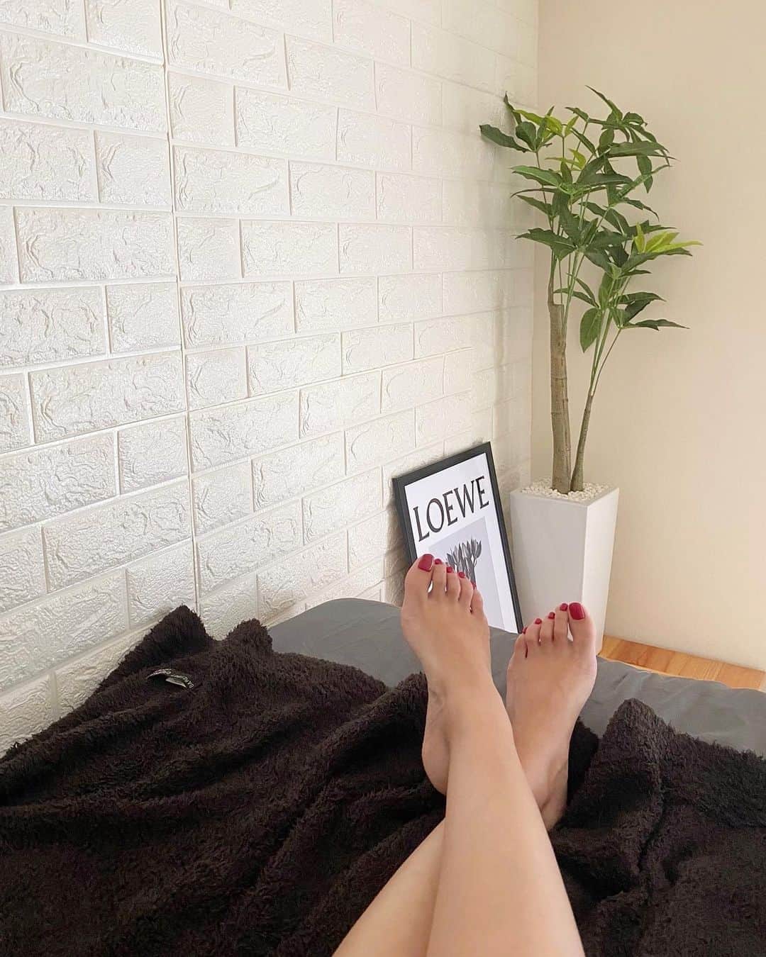 のインスタグラム：「.﻿ ﻿ パキラが届いた♡﻿ ﻿ 白い鉢に白い石が入ってて﻿ 100cmくらいのものを探してて、﻿ やっと出会ったのがこの子✨﻿ ﻿ でも本物じゃなくて光触媒なの😂﻿ パキラはお日様当たらないところでも育てやすいから﻿ 昔から好きだったんだけど、﻿ 遠目から見たら本物っぽいし﻿ とても安かったからいっかーって！﻿ ﻿ モンステラとストレチアと悩んだけど﻿ なんとなく椰子の木っぽいパキラがやっぱり好き！﻿ ﻿ お部屋が爽やかになりました😊﻿ ﻿ ﻿ #パキラ #観葉植物 #観葉植物インテリア #観葉植物のある暮らし #観葉植物のある生活 #光触媒 #光触媒造花 #光触媒観葉植物 #白い鉢 #インテリア #ワンルーム #ワンルームインテリア #ひとり暮らしインテリア」