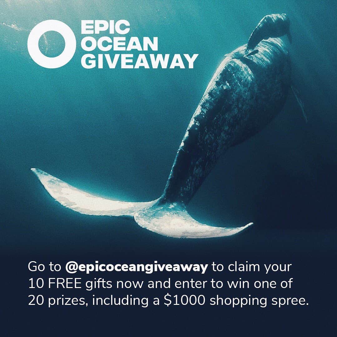 Tamikoさんのインスタグラム写真 - (TamikoInstagram)「Hi friends 🐳 taking part in something fun - join the EPIC ocean giveaway!  Claim your 10 free gifts now and enter the drawing for one of 20+ eco-friendly prizes, including a sea blue chibiko cup from @tamikoclairestoneware ✨ To enter, please go to @epicoceangiveaway and: 1. Follow that page and all accounts that @epicoceangiveaway follows. 2. Tag 3+ friends in their giveaway post. 3. Go to www.epicoceangiveaway.com to get all your free gifts. Deadline to enter is August 28, 2020 at 3 pm PT ~ 6 ET. Good luck! xx #epicoceangiveaway #tamikoclaire #madeinhawaii」8月25日 3時11分 - tamikokonuts
