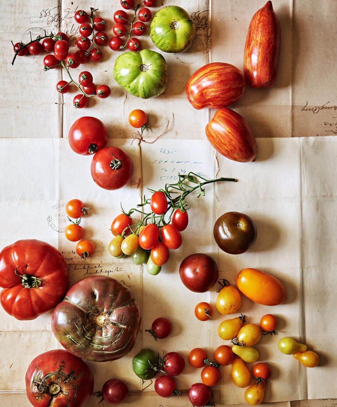 マーサ・スチュワートさんのインスタグラム写真 - (マーサ・スチュワートInstagram)「Consider the tomato's near limitless potential, then get inspired by the glorious varieties shown here. If you can, try to shop for some new-to-you tomatoes during your next trip to the farmers' market, farm stand, or grocery store. Better yet, try to grow some yourself! In our September issue, we share a few favorites which were grown by cookbook author and avid vegetable gardener, Sarah Copeland of @edibleliving who also shared some of her go-to tomato recipes. Grab the recipes at the link in bio or pick up a copy of our September issue on newsstands or online at @magazinedotstore and Apple News+). 📷: @fredericlagrange recipes by: @edibleliving food styling by: @shirabocar prop styling by: @andrianaverdi」8月25日 4時43分 - marthastewart