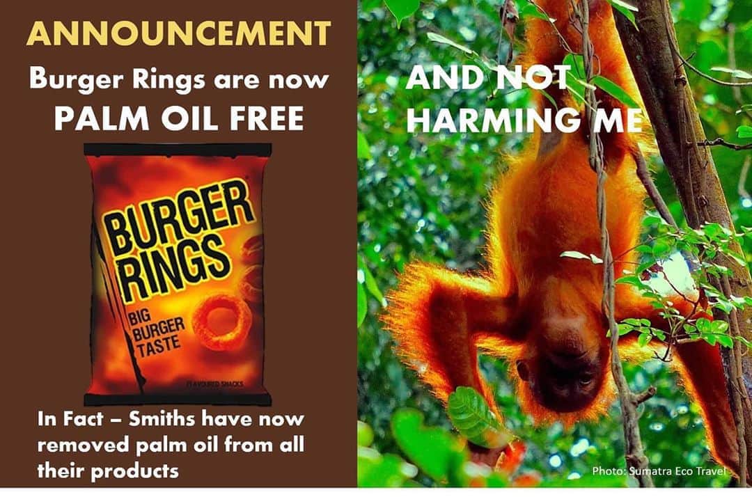 OFI Australiaさんのインスタグラム写真 - (OFI AustraliaInstagram)「The Smith’s Snackfoods Company in Australia has removed palm oil from all of their products! Thank you Smiths!! _____________________________________ 🦧 OFIA Founder: Kobe Steele kobe@ofiaustralia.com  OFIA Patron: Dr Birute Galdikas @drbirute @orangutanfoundationintl @orangutan.canada www.orangutanfoundation.org.au 🦧 🧡 🦧 #orangutan #orphan #rescue #rehabilitate #release #BornToBeWild #Borneo #Indonesia #CampLeakey #orangutans #savetheorangutans #sayNOtopalmoil #palmoil #deforestation #destruction #rainforest #instagood #photooftheday #environment #nature #instanature #endangeredspecies #criticallyendangered #wildlife #orangutanfoundationintl #ofi #drbirute #ofiaustralia #FosterAnOrangutanToday」8月25日 6時05分 - ofi_australia