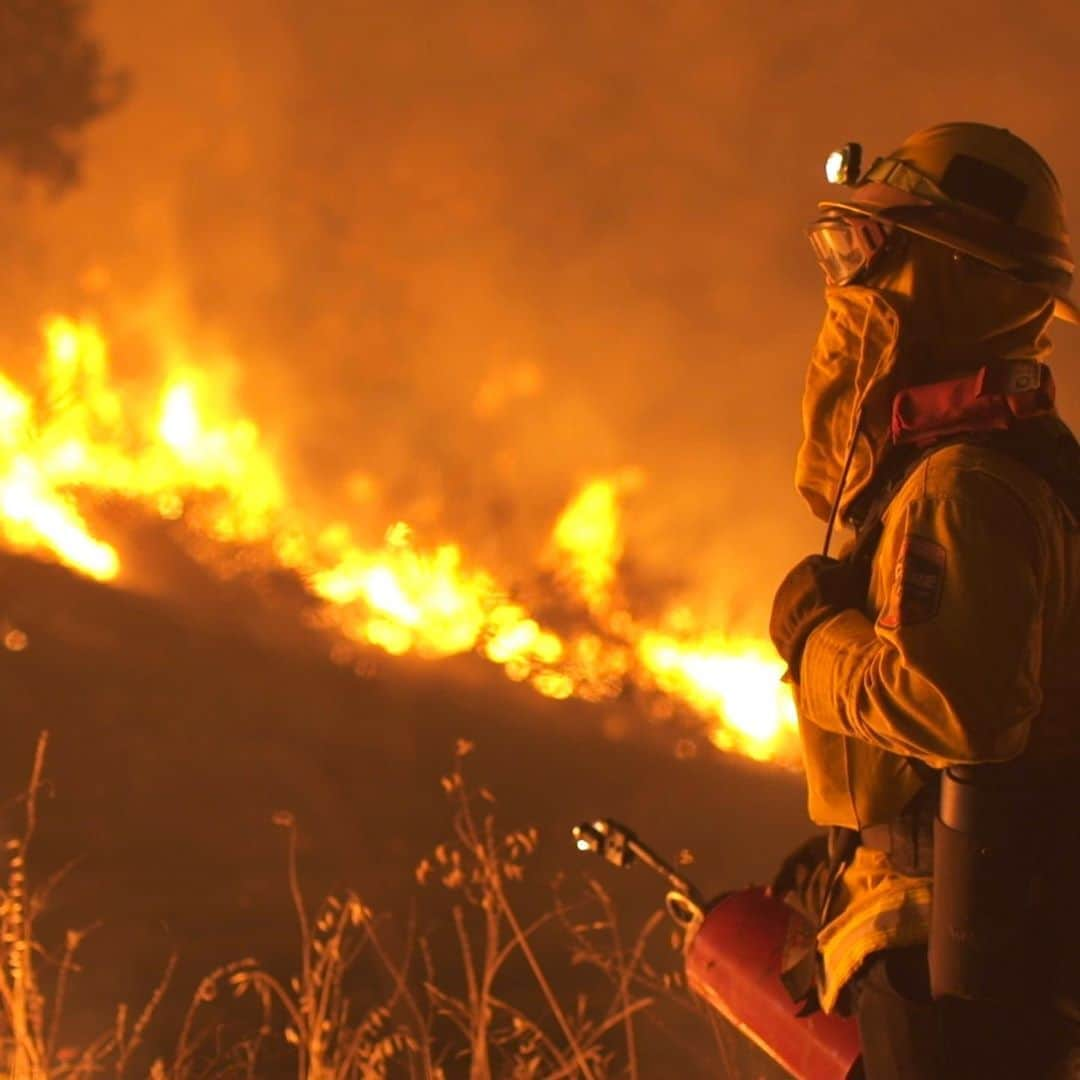 Discoveryさんのインスタグラム写真 - (DiscoveryInstagram)「Wildfires sparked by lighting and heatwaves struck California this week. Two of the fires burning around the Bay Area are now the second and third largest in the state’s history. With more than 1.1 million acres of land torched as of this morning, the tireless efforts of firefighters continue.  More than 13,000 firefighters have been battling the flames, including some on 24-hour shifts.    Meet a few of these heroic men and women on the new GO original series #CalFire. Watch now on the Discovery GO app or at Discovery.com/CalFire.    #wildfireseason #wildfire #fire #firefighter #fireforce #californiafires2020 #californiafires #wildfirefighter」8月25日 6時25分 - discovery