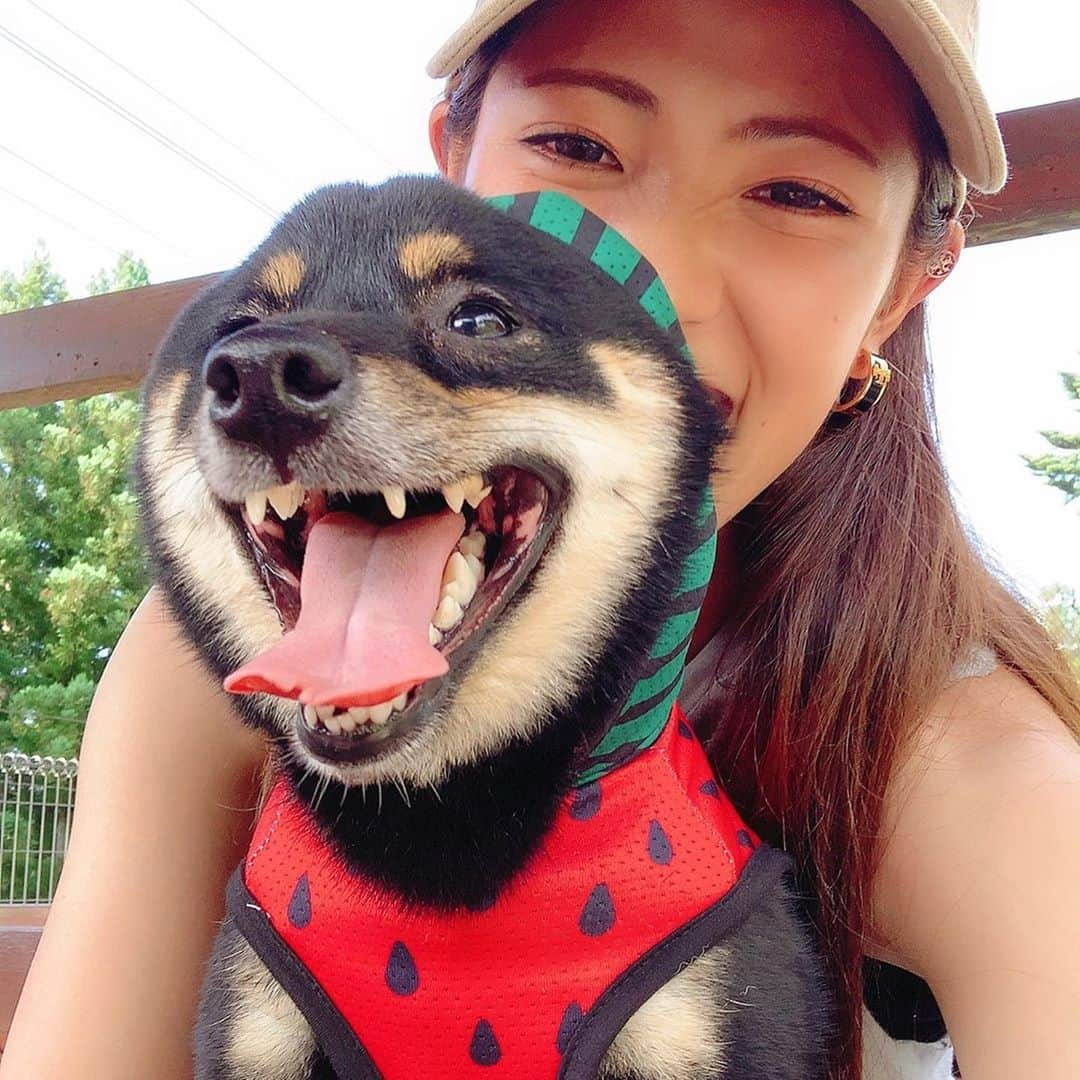 國武愛美さんのインスタグラム写真 - (國武愛美Instagram)「. スイカになった僕🐶🍉 ひっさしぶりのドッグラン🐶🔥 れあもたまには息抜きが必要だよね😗☺️✌︎ 楽しそうに駆け回ってたくさん遊んで疲れて爆睡😬😪😴🥱🐶 愛しい我が子(犬)です🥴🥰😍😇🍉🐶💗 . . #ドッグラン #れあ #豆柴♂ #愛犬」8月25日 6時43分 - kunitake_aimi