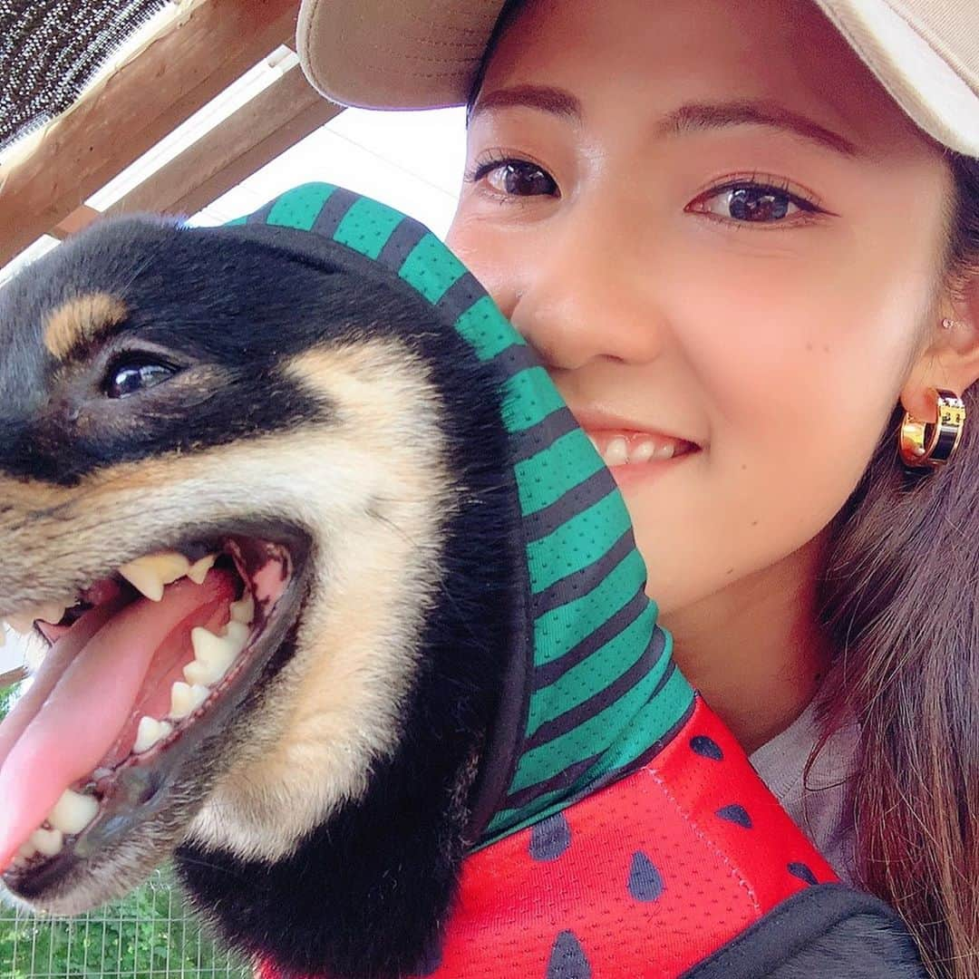 國武愛美さんのインスタグラム写真 - (國武愛美Instagram)「. スイカになった僕🐶🍉 ひっさしぶりのドッグラン🐶🔥 れあもたまには息抜きが必要だよね😗☺️✌︎ 楽しそうに駆け回ってたくさん遊んで疲れて爆睡😬😪😴🥱🐶 愛しい我が子(犬)です🥴🥰😍😇🍉🐶💗 . . #ドッグラン #れあ #豆柴♂ #愛犬」8月25日 6時43分 - kunitake_aimi