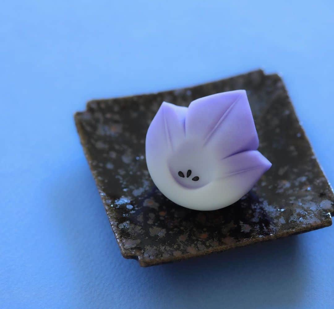 Toru Tsuchieのグルメインスタ