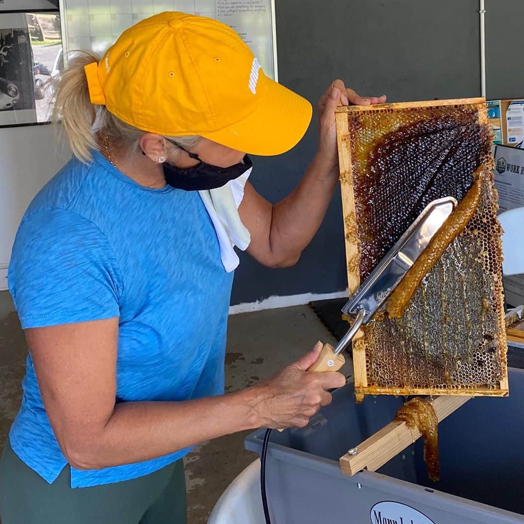 ヨランダ・ハディッドさんのインスタグラム写真 - (ヨランダ・ハディッドInstagram)「❤️Busy Bees...... #SweetnessOfLife #Honey #HomeMade」8月25日 7時01分 - yolanda.hadid
