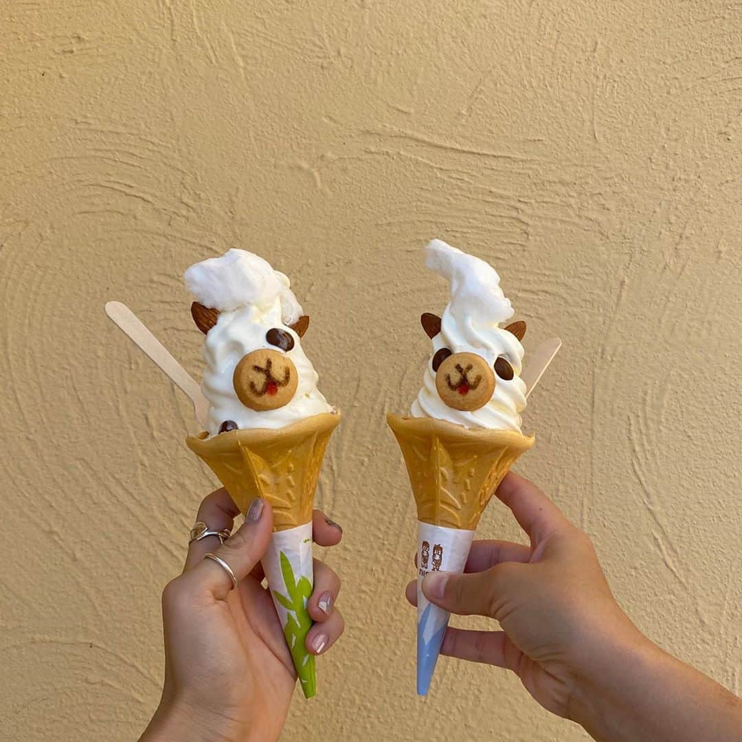長谷川あやのインスタグラム：「🍦🍦🍦#sweets#softcream #kanagawa#trip#travel#japan#あや旅成長日記#家族旅行#小夏のいる生活#ソレイユの丘#アルパカソフト ・ ・ ・ 〝すぐ溶けるのでカップをおすすめします” と言われている噂の『アルパカソフト』👧‼️ ・ ご覧の通り秒速で溶けるので リアルにカップをおすすめします！笑 （左のアルパカ可愛そう😂） ・ おちび達がもう少し大きくなったら ポニーに乗れたりおっきいじゃぶじゃぶ池も 入れたりしてさらに楽しそう😆💓 ・ 肝心なアルパカが不在だったのでリベンジ💛」