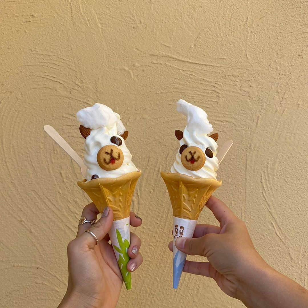 長谷川あやさんのインスタグラム写真 - (長谷川あやInstagram)「🍦🍦🍦#sweets#softcream #kanagawa#trip#travel#japan#あや旅成長日記#家族旅行#小夏のいる生活#ソレイユの丘#アルパカソフト ・ ・ ・ 〝すぐ溶けるのでカップをおすすめします” と言われている噂の『アルパカソフト』👧‼️ ・ ご覧の通り秒速で溶けるので リアルにカップをおすすめします！笑 （左のアルパカ可愛そう😂） ・ おちび達がもう少し大きくなったら ポニーに乗れたりおっきいじゃぶじゃぶ池も 入れたりしてさらに楽しそう😆💓 ・ 肝心なアルパカが不在だったのでリベンジ💛」8月25日 7時15分 - ayasuke_0516