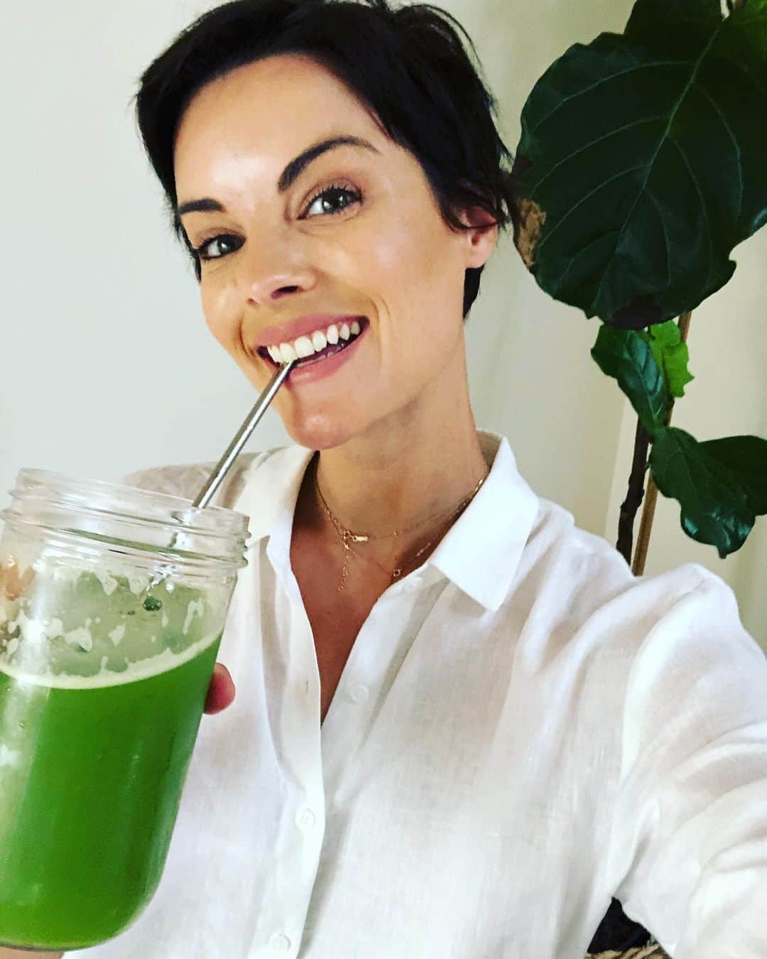 ジェイミー・アレクサンダーのインスタグラム：「CELERY JUICE! I’m obsessed. I’m on day 7 of the #Advanced369cleanse from the @medicalmedium recommended to me by my wonderful friend, @aprilmatsongrady 💕 I’m already feeling so much better. No bloating, no inflammation, far better digestion and my skin has brightened. I’m doing this cleanse to help detox my liver and heal my body. 🙏🏻 I have been struggling with chronic illness for years and I have tried EVERYTHING. This cleanse has been the only thing that has worked so far. I’m looking forward to where this journey is going to take me. 💕💕💕 #grateful 💪🏻🥗🍎🍋🍌🥦🥒🍅🍑🍇🍒🍉🥬 Thank you, Anthony! #medicalmedium #cleansetoheal」