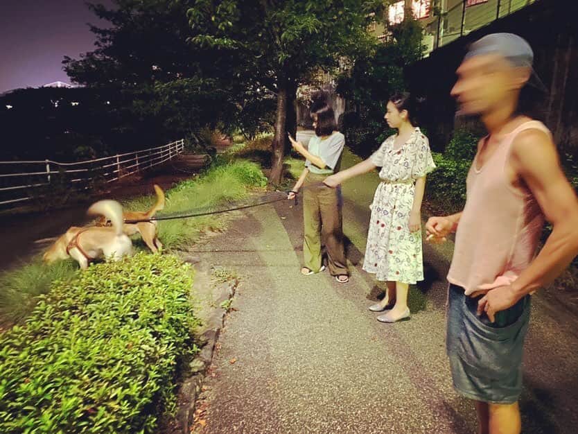 のインスタグラム：「空中娘達と散歩な金沢の夜 犬は野性の伝道者　エボニーブラックの目覚め #動物宣言」