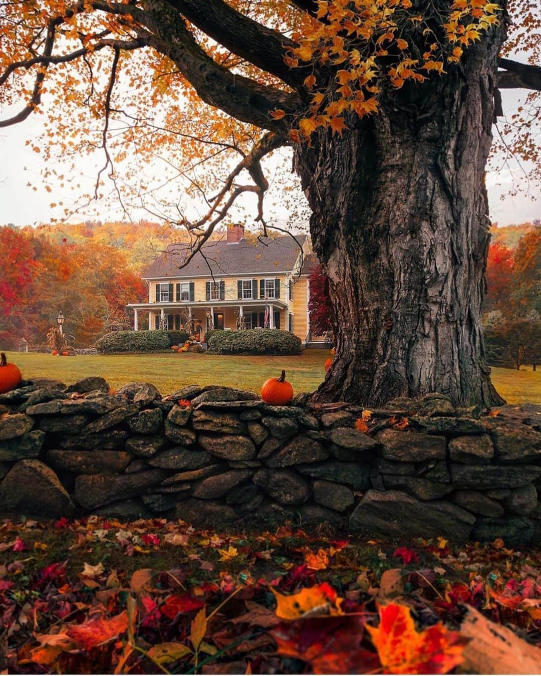 FOLKのインスタグラム：「Someday I hope to have @kjp and their beautiful autumn world in one of our autumn issues. I am obsessed.」