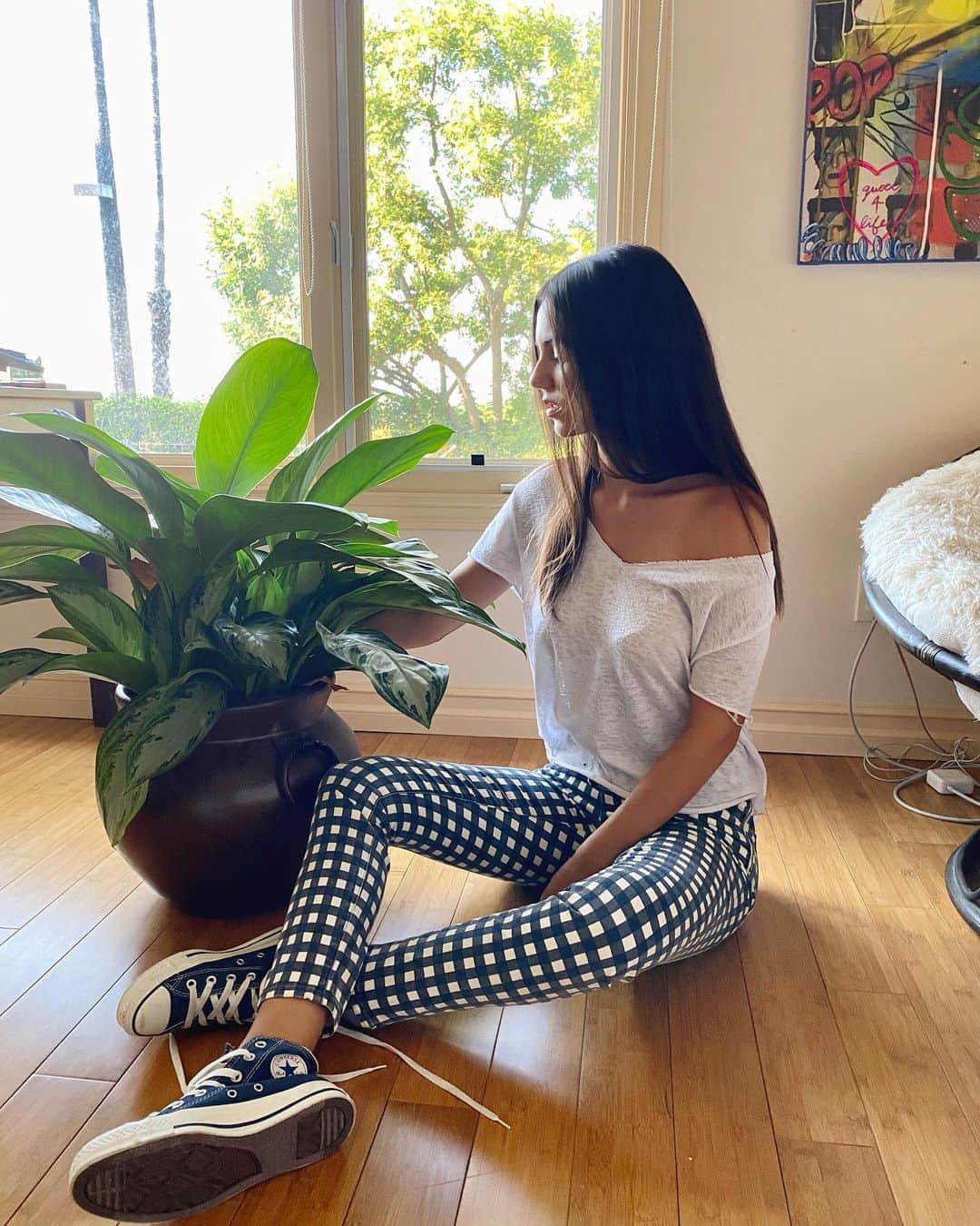のインスタグラム：「I’m a house plant mama now! What should I name my new baby?! 🌱」