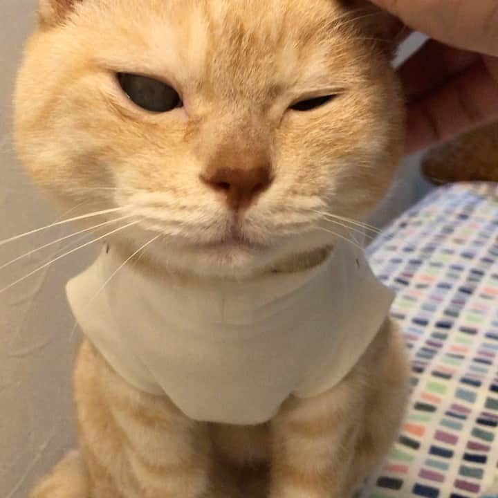 ruiruiのインスタグラム