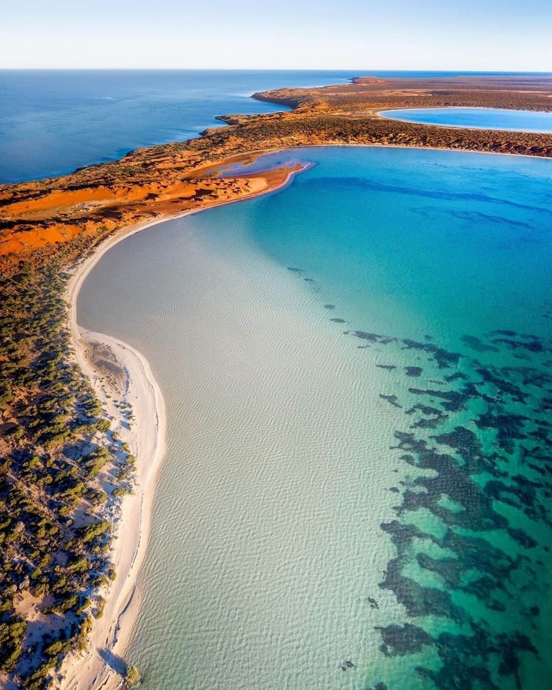 Australiaさんのインスタグラム写真 - (AustraliaInstagram)「Mother nature has certainly done some of her finest work in #SharkBay! 💙 @kyle.bowman perfectly captured this @westernaustralia #WorldHeritageArea located on @australiascoralcoast, where the blue sky famously meets turquoise water, white sand and red dirt. If a #roadtrip through this spectacular part of #WesternAustralia is on your future travel agenda, click the link in our bio for our 10-day itinerary exploring #AustraliasCoralCoast! #seeaustralia」8月25日 20時00分 - australia