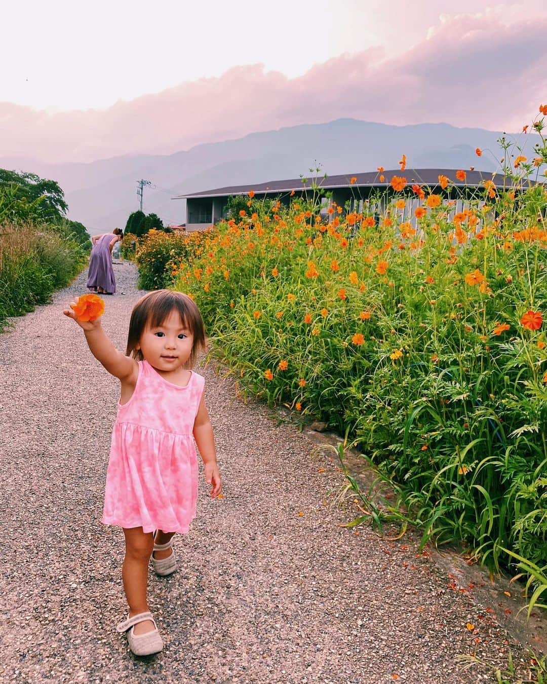 高橋菜摘のインスタグラム：「🏵 可愛いオレンジの花見つけて 嬉しそう〜💭 落ちてたよー！って見せてくれた♡ 娘の名前にもお花入ってるし 花好きは生まれ持ったものかな？ . わたしも菜を摘むって書く名前 漢字も名前もお気に入り。 娘にもそう想って欲しいな〜 唯一無二の名前💐 . . . . #山梨旅行 #サンセット #富士山 #山梨 #河口湖 #富士大石ハナテラス #お花畑  #旅行 #湖畔 #蘭 #1歳 #1歳女の子 #2歳 #女の子ママ #女の子ベビー #ワンピース #mtfuji #japan #kawaguchiko #fuji #babygirl #1yearsold #2yearsold」