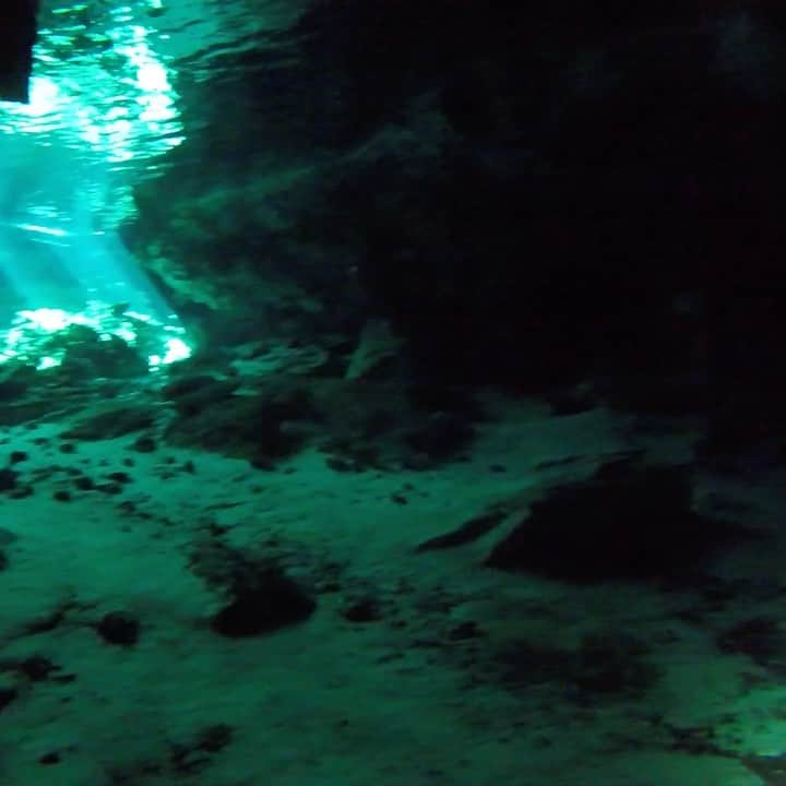 石黒エレナのインスタグラム：「. . Cenote . #2ojo #2ojos #2ojoscenote #cavediving #mexico #méxico #diving #メキシコ #メキシコ旅行 #カンクン #セノーテ #セノーテダイビング #セノーテドスオホス #ケーブダイビング」