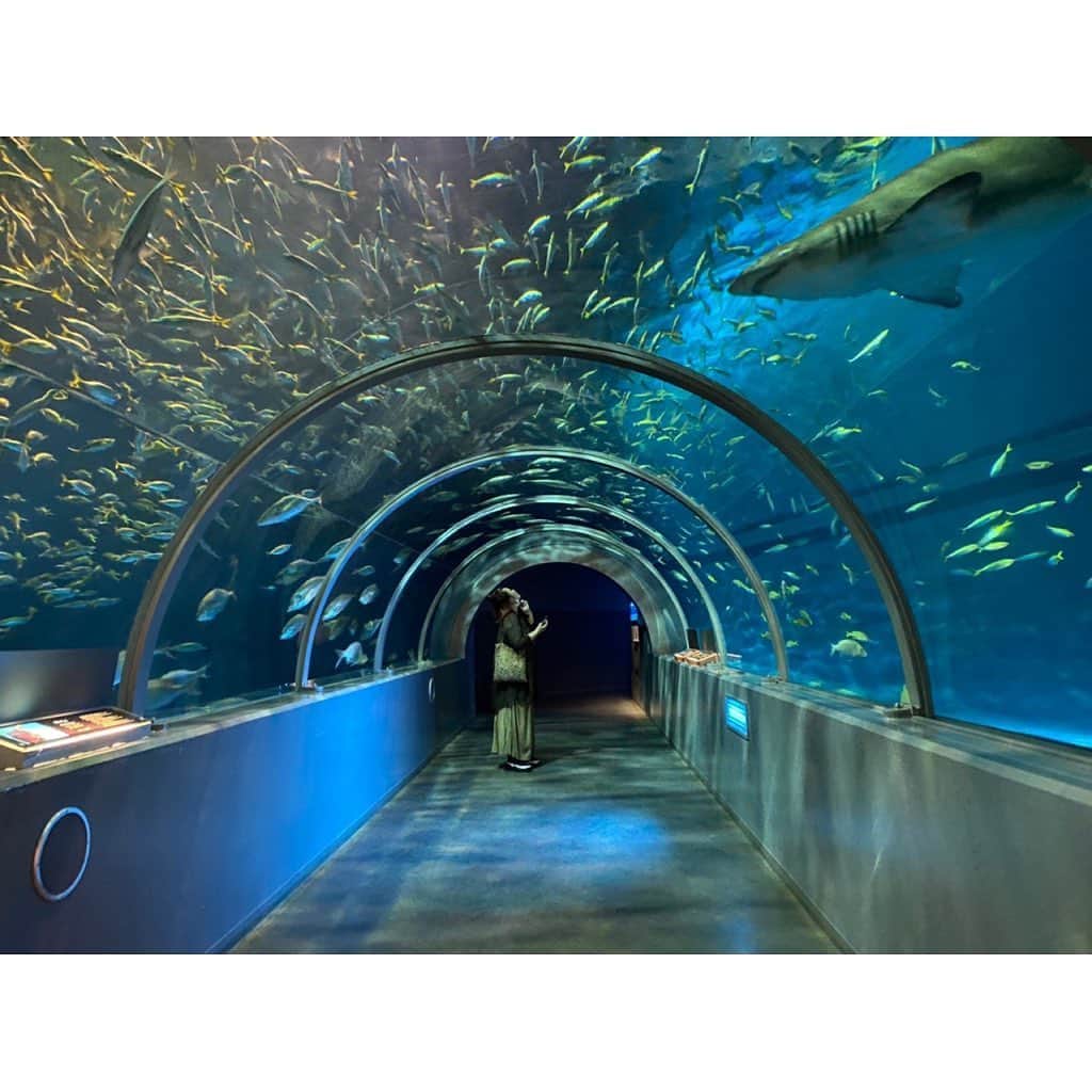 林唯衣のグルメインスタ