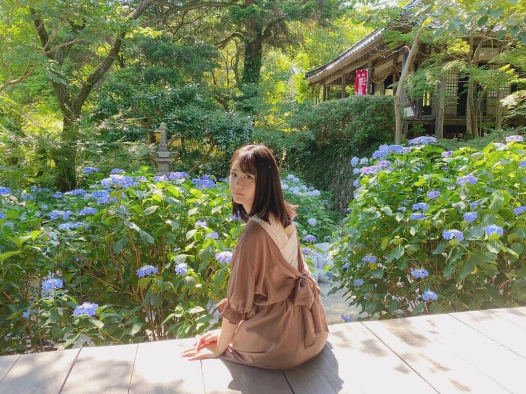 瀧野由美子さんのインスタグラム写真 - (瀧野由美子Instagram)「夏も後半ですが、お元気ですか？⛱🎐  #STU48 #瀧野由美子 #1ヶ月ぶりの更新 #山口県 #防府市 #阿弥陀寺 #あじさい #紫陽花」8月25日 21時11分 - yumiko_anko