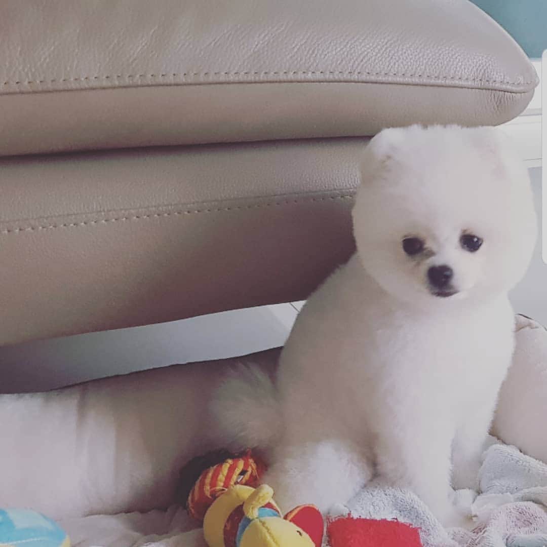 のインスタグラム：「오늘도 하피♡ 今日も、ハピ♡」