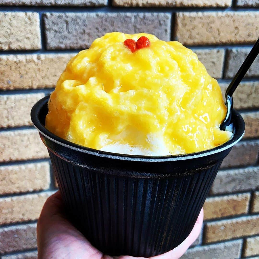 志摩有子さんのインスタグラム写真 - (志摩有子Instagram)「デザートはかき氷でさっぱりリセット。 バンパクで今日はマンゴーミルク。 あー、美味しいよー。  #かき氷 #かき氷部 #氷活」8月25日 14時36分 - ariko418