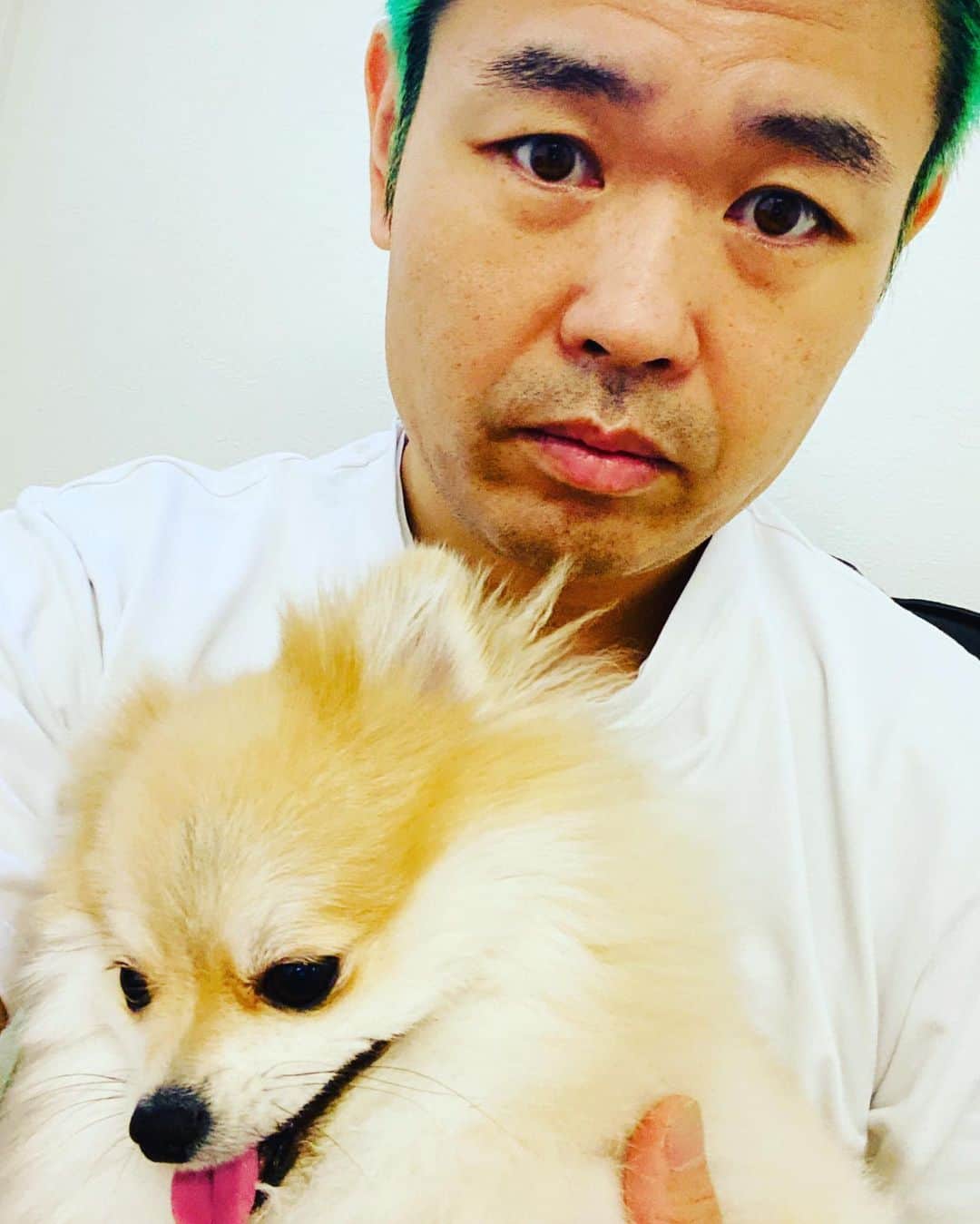 品川祐さんのインスタグラム写真 - (品川祐Instagram)「犬と緑のおじさん」8月25日 14時50分 - shinashina0426