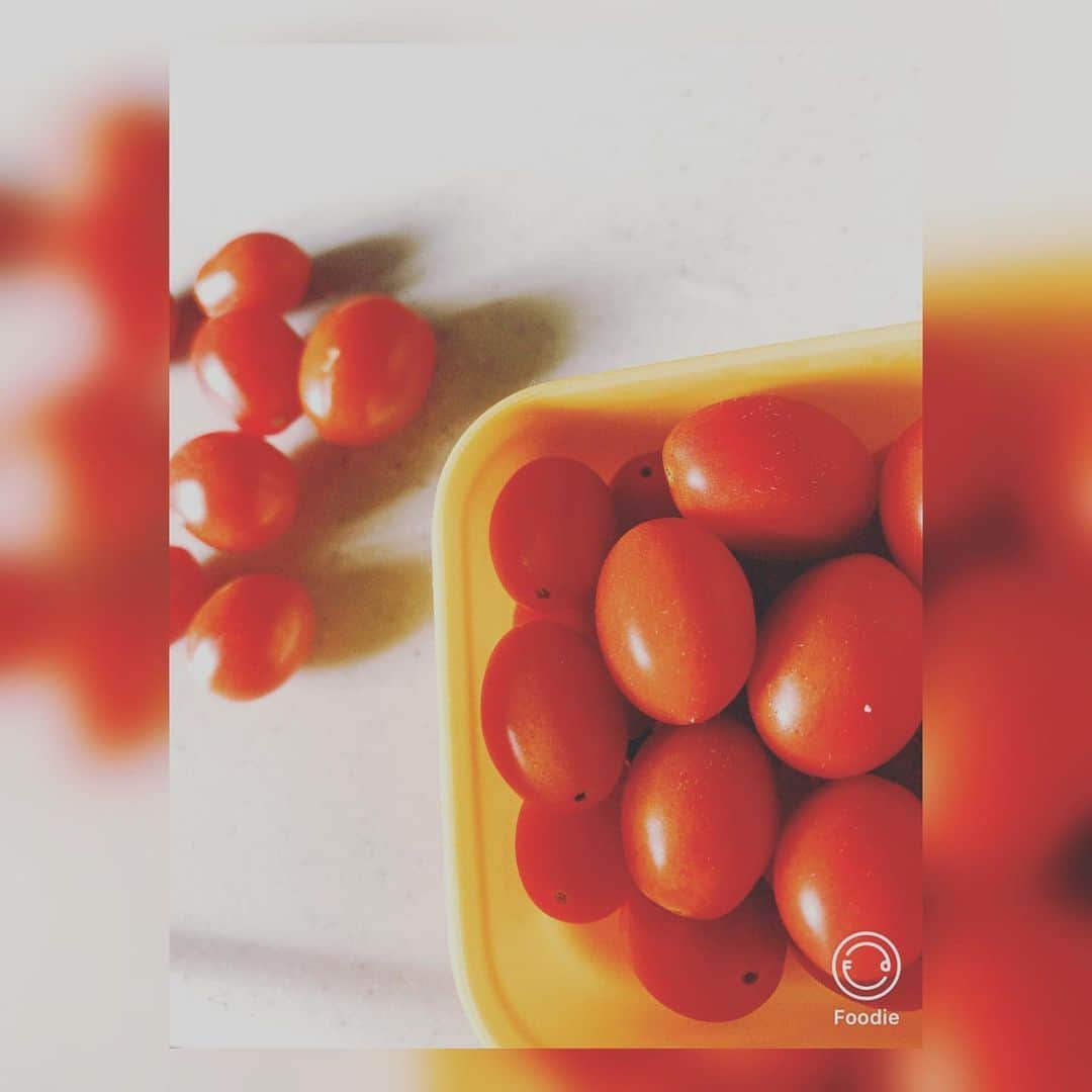 HINAのインスタグラム：「今年HINA菜園ではフルーツトマトが豊作です。 とまらん  #家庭菜園 #フルーツトマト #豊作 #赤 #青森 #田舎暮らし」