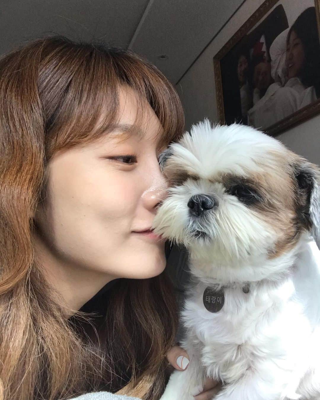 チャ・ミンジのインスタグラム：「.  😍:도망가지마...사진 한번만 띡어줘..ㅎㅎ  🐶: 귀찮게 좀 하지마...  넌 날 싫어해도 어쩔 수 없어.힛🙈  #반려견#사지마세요입양하세요#태랑이」
