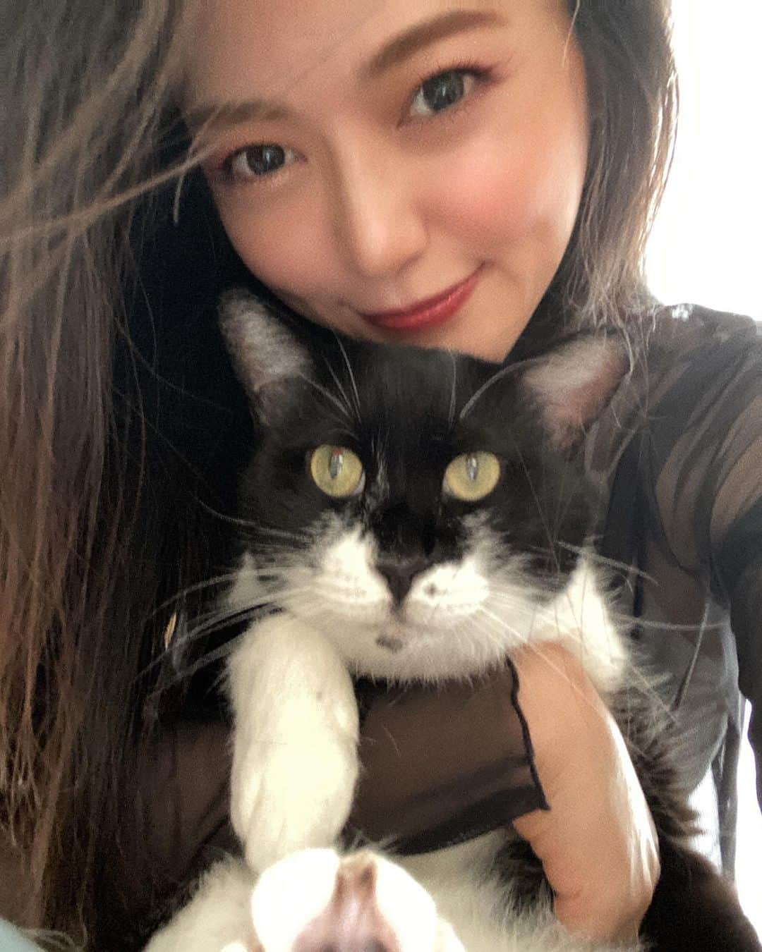 山口愛実のインスタグラム：「私の相棒 私の魂  #🐈」