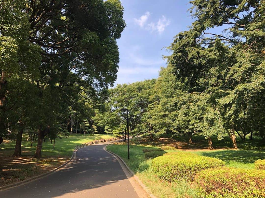 のインスタグラム：「ブラブラと...🚶‍♂️ 都心に居る事を忘れるくらい長閑✨ #散歩 #代々木公園 #prowrestler」