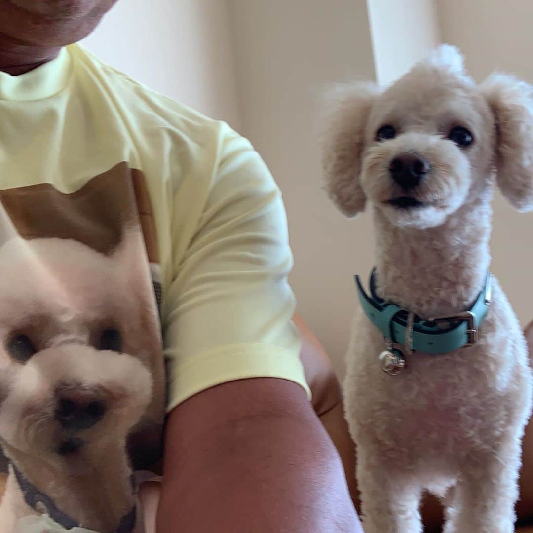 金村義明のグルメインスタ