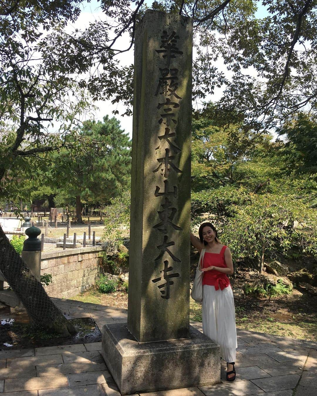 白鳥羽純さんのインスタグラム写真 - (白鳥羽純Instagram)「東大寺〜  キングダム感！笑  時間がゆっっっくり流れてました  鹿のみなさんも門の陰で涼んでおられます  #東大寺 #キングダム感はんぱない #平城京 #唐の長安がモデル #奈良の大仏 #Todaiji #Todaijitemple #Daibutsu #Nara #Kingdom #rediscoverjapan」8月25日 15時51分 - hasuminst