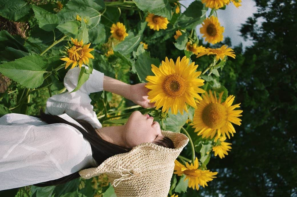 鈴木美羽さんのインスタグラム写真 - (鈴木美羽Instagram)「歩いてたら元気に咲いてた🌻 わーい！！」8月25日 21時27分 - suzukimiu_0414