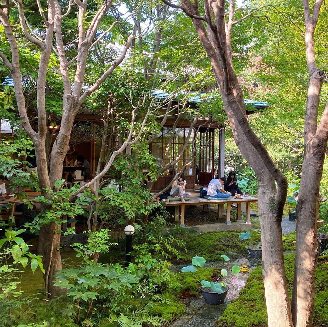 兼田恵さんのインスタグラム写真 - (兼田恵Instagram)「ずっと行きたかったカフェに行ってきました♡ 池袋近くなのにお坊さんとお線香の香りと畳と縁側と緑で、いい田舎に来た気分になれて最高でした。 はー、、また行こう。。  #ぼうずncoffee #お寺でお茶」8月25日 21時32分 - earl_megu