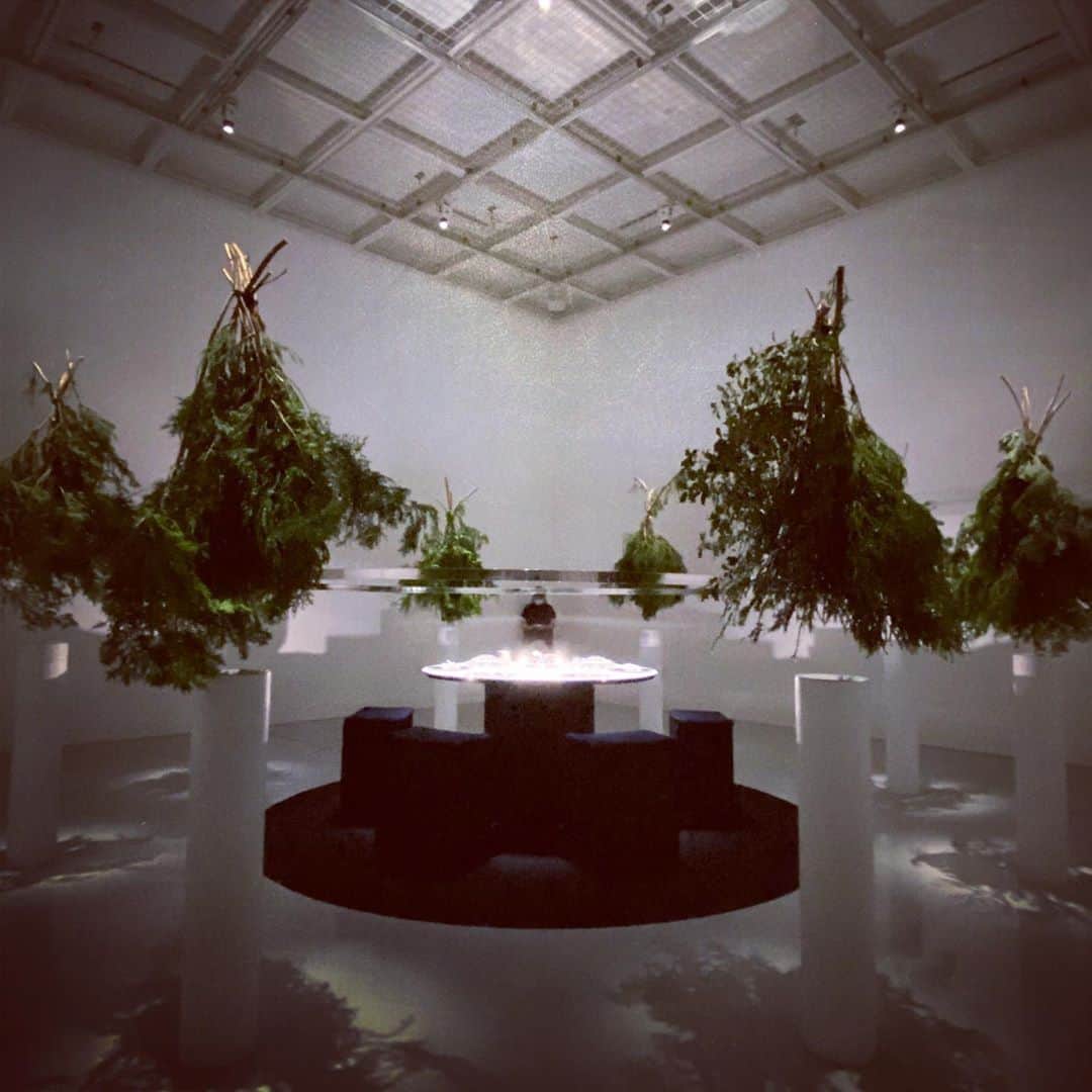 林信行さんのインスタグラム写真 - (林信行Instagram)「会場を満たすフィトンチッド。目を閉じると銀座のど真ん中なのに、まるで森に迷い込んだような錯覚に陥ります。  #記憶の珍味 #諏訪綾子 展  @ShiseidoGallery @AyakoSuwa_foodcreation  #TasteOfReminiscence  半年前にCOVID-19の影響で中断された展覧会が、まったく新しい形での再スタートです。 「前期と後期で別のものが見せられてよかった」と諏訪さん。私も中断のおかげで諏訪さんの別の魅力を見ることができて良かったと思います。春以降彼女のfacebookで度々、目にしていた美しいタリスマン(魔除け)が新しい展覧会では主役になっています。残念ながら感染予防の観点から以前のようなテーブルを囲んでのリチュアル(儀式)はできなくなってしまいましたが、無機質だったリチュアルの空間を緑のタリスマンが囲むことで空間全体も別の魅力を放ち始めました。  #ArtSticker を使った予約や(森の中の音が溢れる音声ガイド)など新しい試みもいっぱい。 ただみに行く人はあらかじめArtStickerアプリのインストールを忘れずに(これをしてなくて入り口で止まっちゃってる人多いです。できない人には貸出機があるそうです)。  最後の記憶の珍味を体験した後、マスクそのままで外に出ると、銀座の風景が違って感じられます。 (個人的にはかなり衝撃的でした)。 20分前でも空きがあれば予約ができるそうです。 リフレッシュ度が凄い展覧会なので隙あれば通ってしまうかも。  なお、9/11からは資生堂パーラー上階のレストラン「faro」でコラボ企画が始まります。オープニングレセプションをこのfaroさんが作っていたのですが、素晴らしかったので今から期待しています！  -9/26まで」8月25日 17時00分 - nobihaya