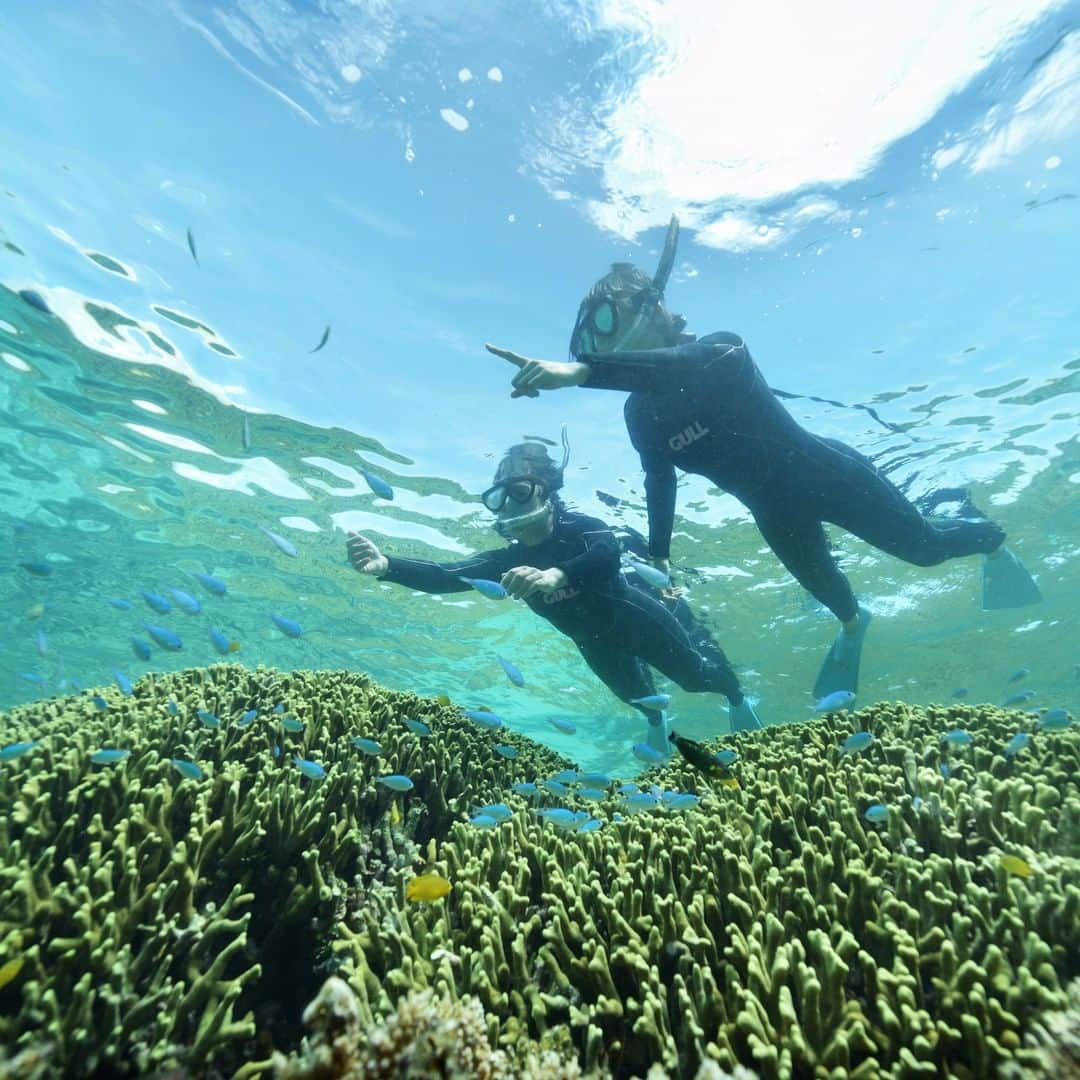 星野リゾートさんのインスタグラム写真 - (星野リゾートInstagram)「【海の恵みを堪能し、癒やされる「珊瑚美(ちゅ)ら滞在」】  Enjoy the blessings from the ocean and heal through the "Coral Reef Stay"  沖縄県・竹富島にある滞在型リゾート「星のや竹富島」では、8月31日までの期間で、珊瑚礁が隆起してできた竹富島で海の恵みを堪能し、心身ともに癒される「珊瑚美ら滞在」を開催しています。  色鮮やかな魚に出会うスノーケリングや海藻を練りこんだ蕎麦のランチで海の恵みを体感し、珊瑚バスソルトづくりや海辺の散歩をして、島時間の中でゆったりと寛ぎます。都会の喧騒から離れて珊瑚の海の豊かな恵みを堪能し、心身ともに癒されるプログラムです。  #hoshinoresorts #星野リゾート #hoshinoya #星のや #hoshinoyaTaketomijima #星のや竹富島 #Okinawa #Yaeyamaislands #Taketomijima #沖縄 #沖縄県 #八重山諸島 #竹富島 #癒し #リフレッシュ #海 #珊瑚」8月25日 17時01分 - hoshinoresorts.official