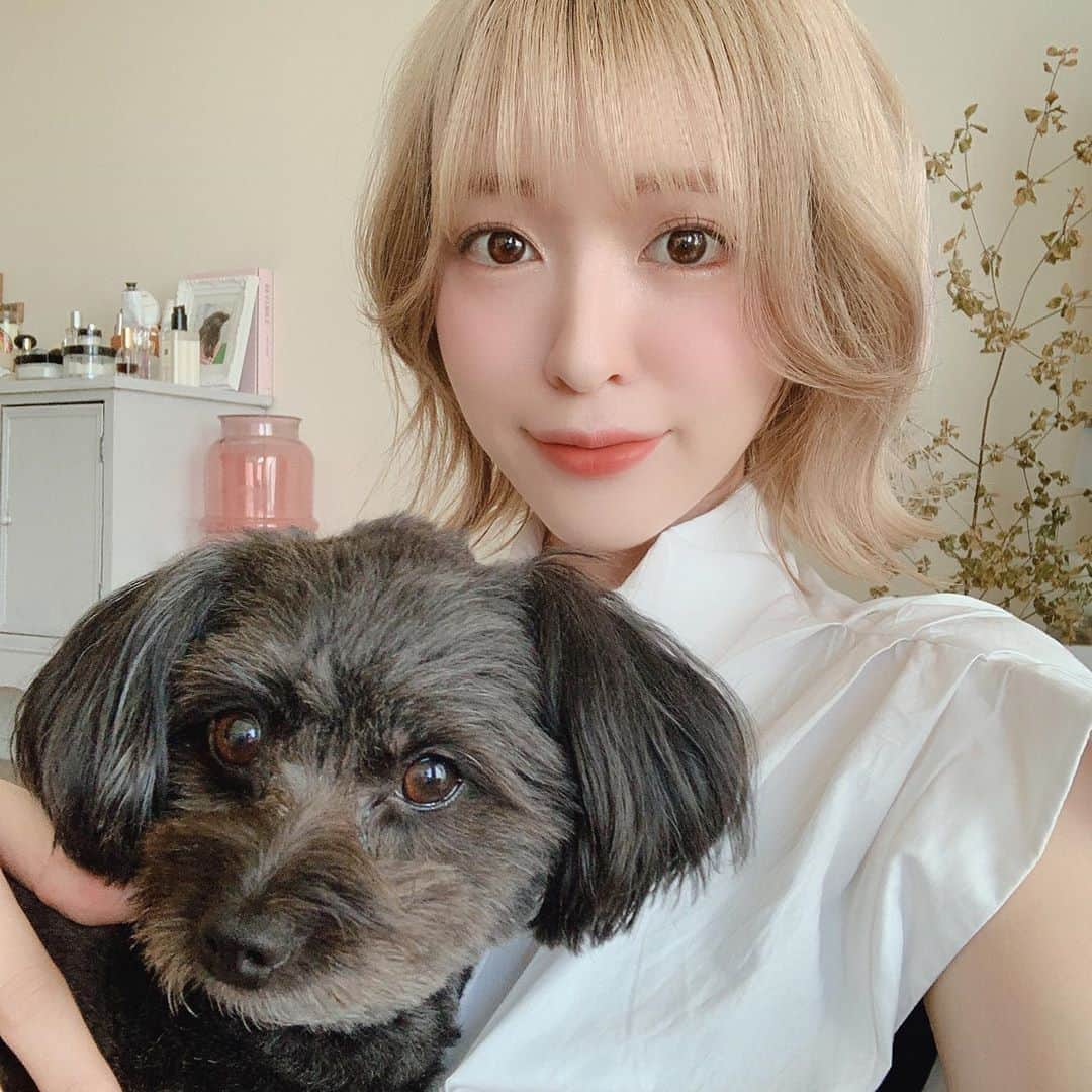 吉田菫さんのインスタグラム写真 - (吉田菫Instagram)「. こめちと飼い主🥳 テレビ収録して歯医者行ってきた🦷少しずつ歯が動いてきた〜！私は歌う時やラジオのとき外せるようにマウスピース！ . #愛犬　#ポメプー  #犬のいる生活　#dog」8月25日 17時19分 - sumiredooon1228