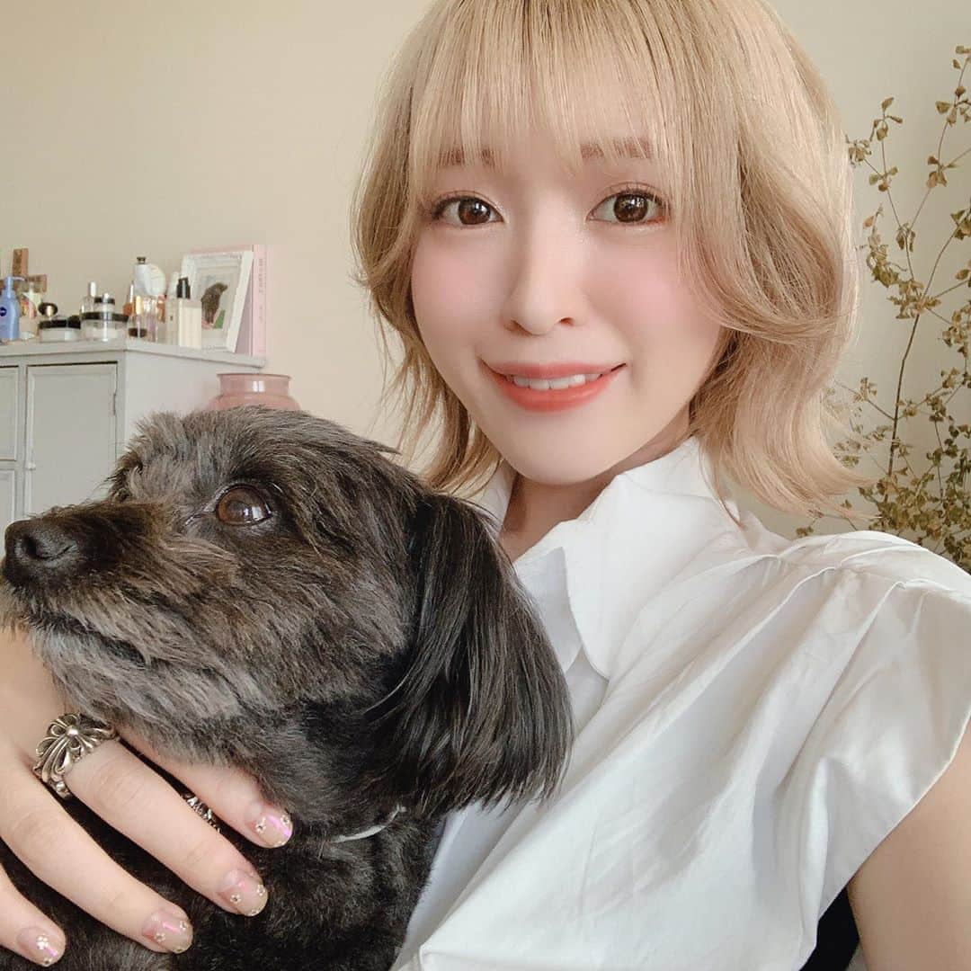 吉田菫さんのインスタグラム写真 - (吉田菫Instagram)「. こめちと飼い主🥳 テレビ収録して歯医者行ってきた🦷少しずつ歯が動いてきた〜！私は歌う時やラジオのとき外せるようにマウスピース！ . #愛犬　#ポメプー  #犬のいる生活　#dog」8月25日 17時19分 - sumiredooon1228