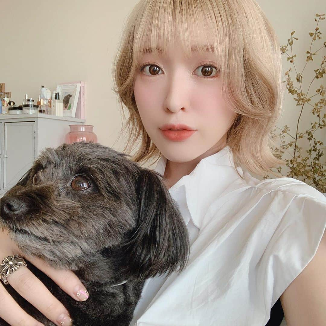 吉田菫さんのインスタグラム写真 - (吉田菫Instagram)「. こめちと飼い主🥳 テレビ収録して歯医者行ってきた🦷少しずつ歯が動いてきた〜！私は歌う時やラジオのとき外せるようにマウスピース！ . #愛犬　#ポメプー  #犬のいる生活　#dog」8月25日 17時19分 - sumiredooon1228