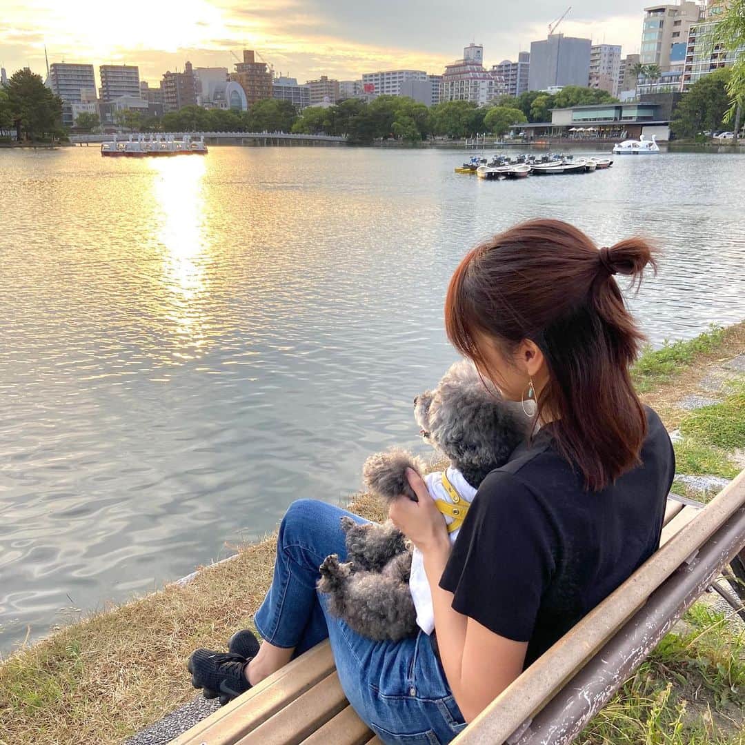 杉下理世のインスタグラム：「▶︎▶︎FUK Sunset with my LOCO Ohori park is one of my favorite spots in Fukuoka⋆︎* そろそろ🐩に会えるから、そわそわ…💓  #福岡 #fukuoka #大濠公園 #ohoripark #トイプードル #黒プー #ブラックトイプードル #sunset」