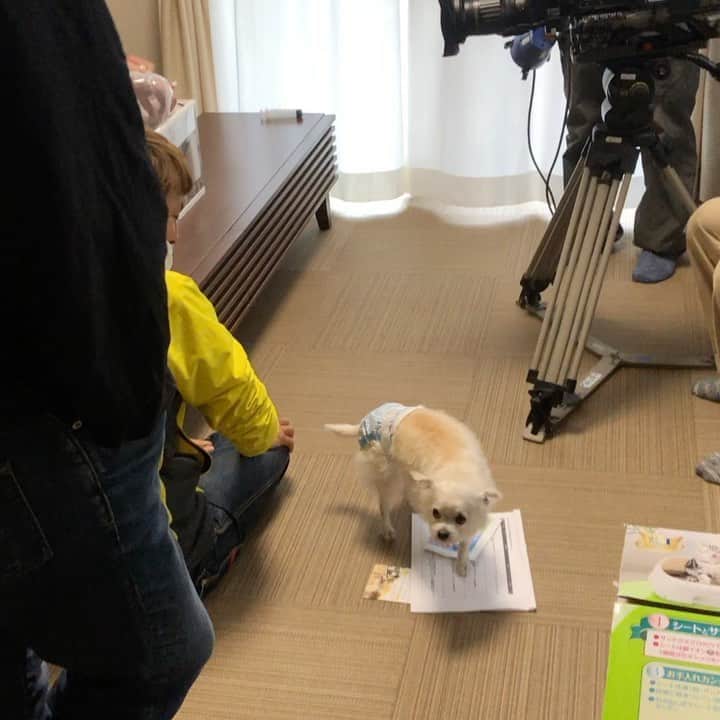 小池祥絵のグルメインスタ