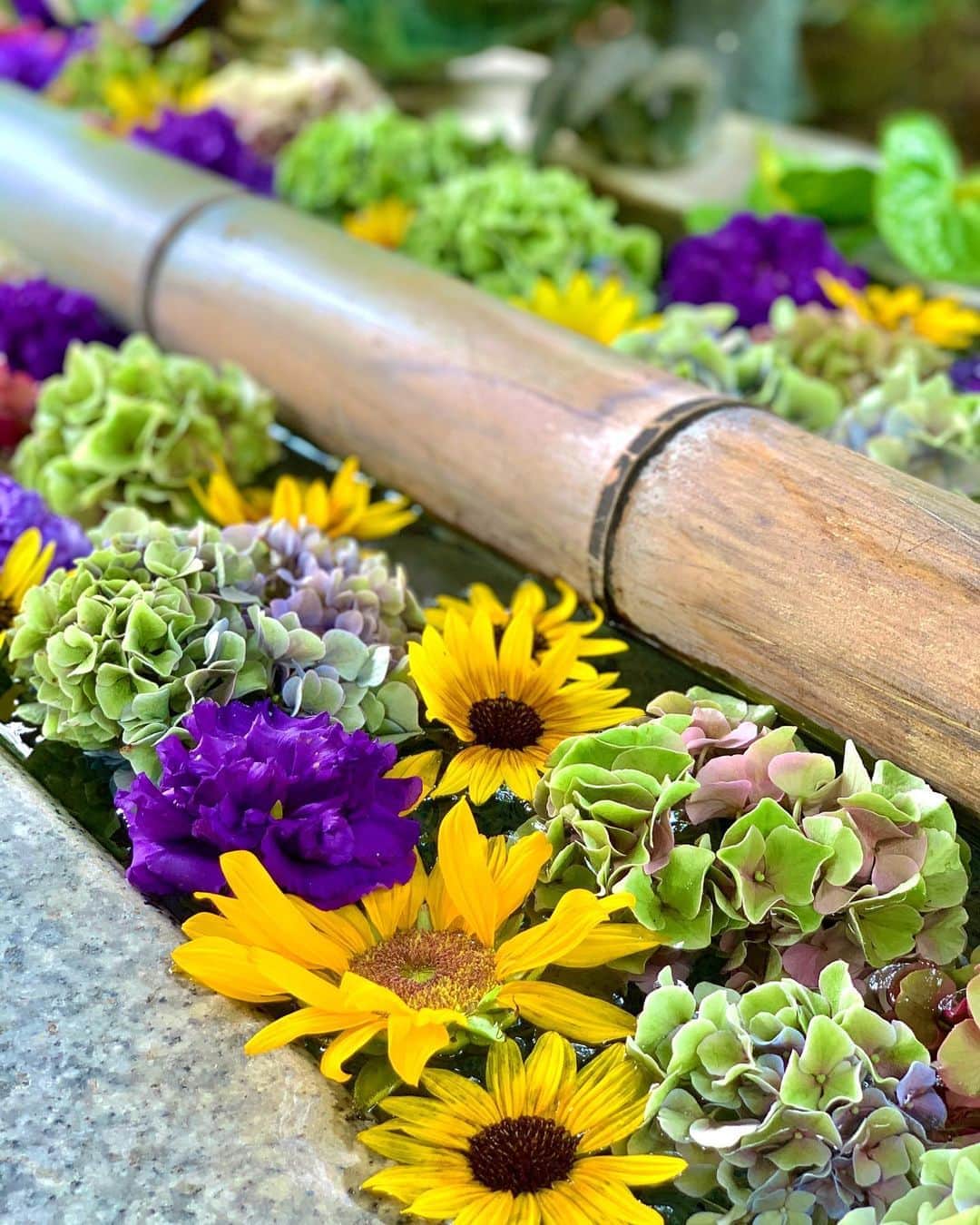 吉川ちかのグルメインスタ