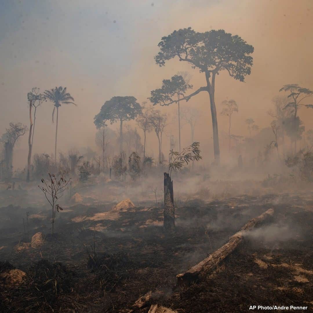 ABC Newsさんのインスタグラム写真 - (ABC NewsInstagram)「Fire consumes land recently deforested by cattle farmers near Novo Progresso, Para state, Brazil.」8月25日 18時10分 - abcnews