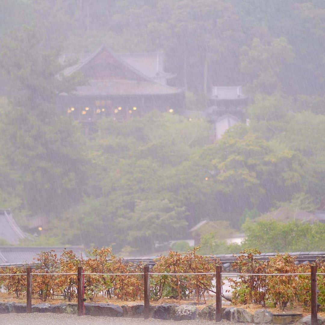 奈良 長谷寺 / nara hasederaのグルメインスタ